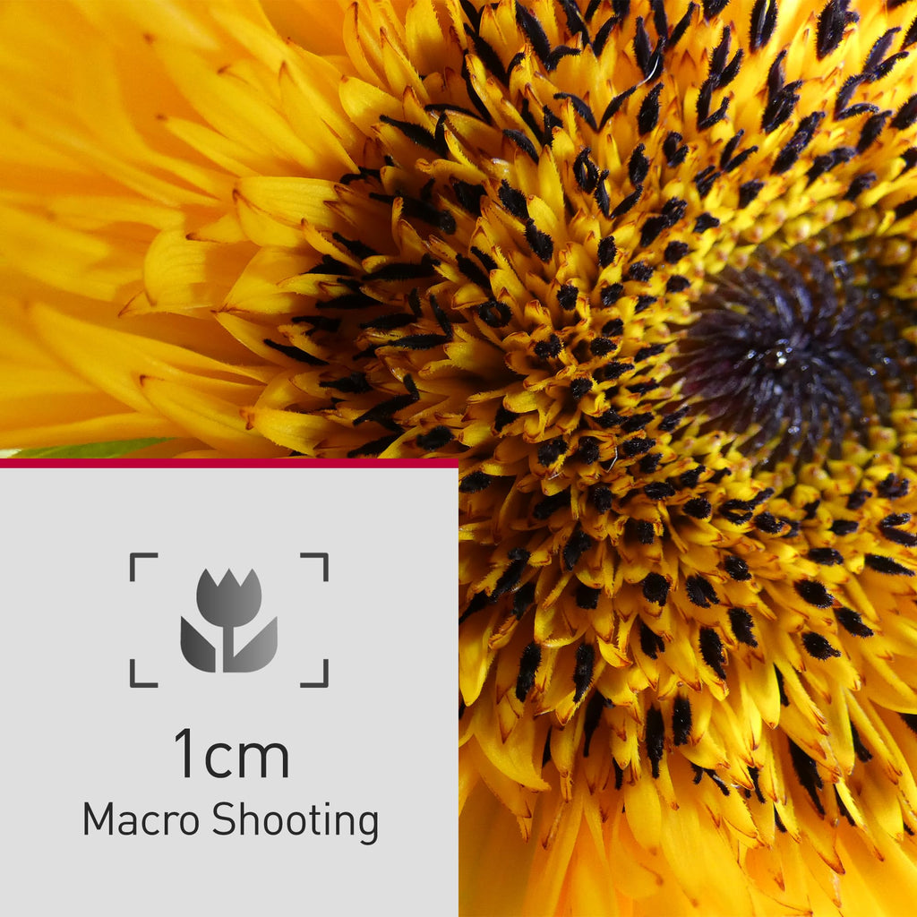 Panasonic LUMIX FZ80D Point and Shoot Digital Camera 4K Photo/Video Recording with Power Optical Image Stabilizer, Vlogging Camera with 60X Optical Zoom & 20-1200mm Wide-Angle Lens - DC-FZ80D