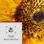 Panasonic LUMIX FZ80D Point and Shoot Digital Camera 4K Photo/Video Recording with Power Optical Image Stabilizer, Vlogging Camera with 60X Optical Zoom & 20-1200mm Wide-Angle Lens - DC-FZ80D