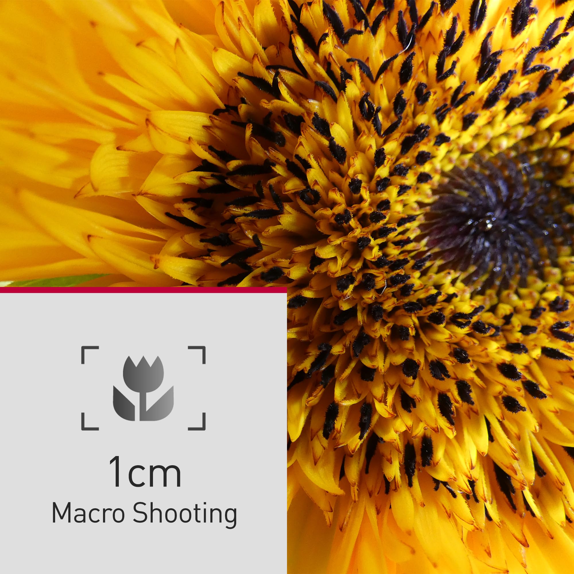 Panasonic LUMIX FZ80D Point and Shoot Digital Camera 4K Photo/Video Recording with Power Optical Image Stabilizer, Vlogging Camera with 60X Optical Zoom & 20-1200mm Wide-Angle Lens - DC-FZ80D